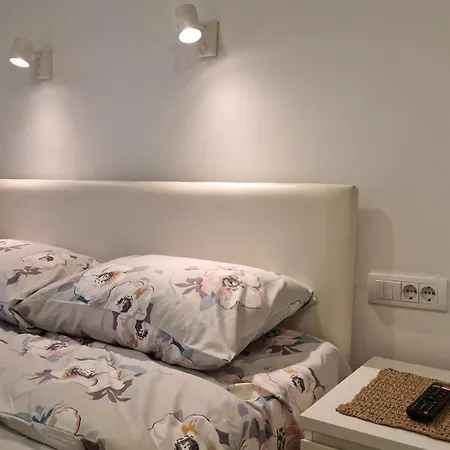 Aurora 베오그라드